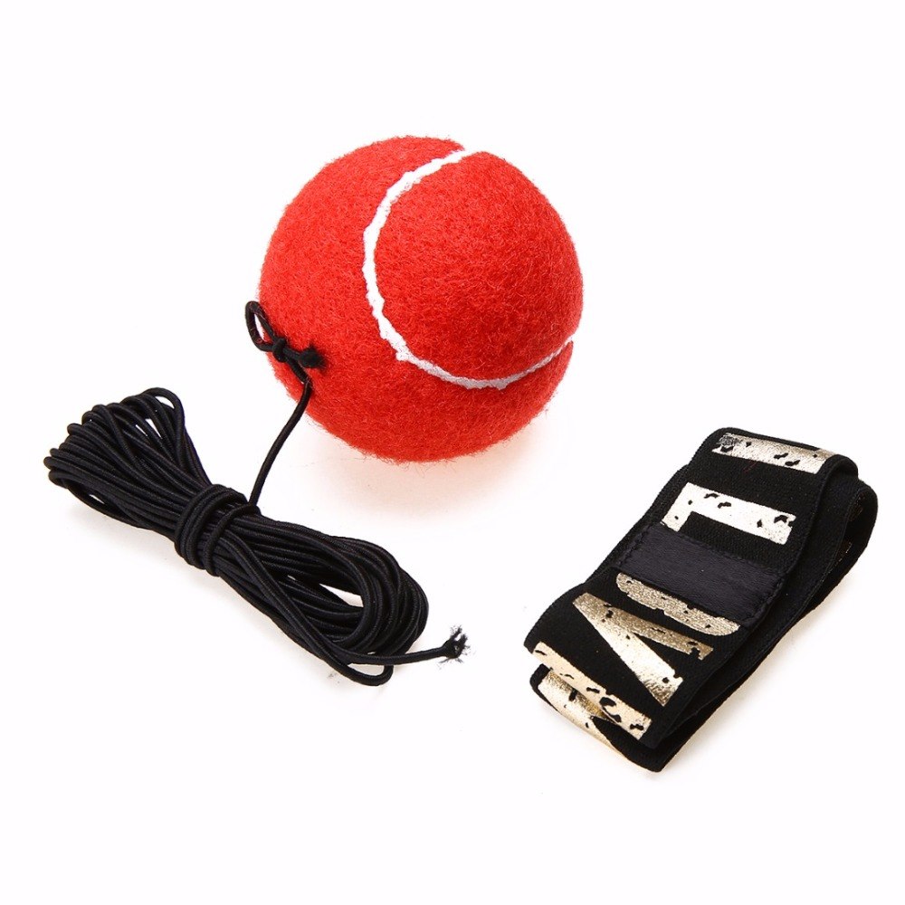 Reflex Punch Trainer Ball